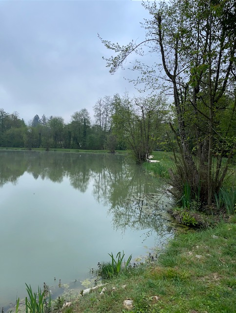 Le Vairon Suillyzois Suilly la Tour