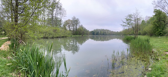Le Vairon Suillyzois Suilly la Tour